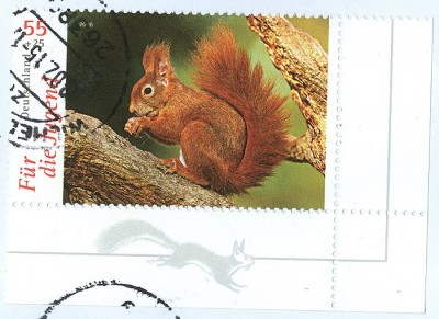 Bund 2000 MiNr. Eichhörnchen als Teil einer modernen Buntfrankatur.jpg