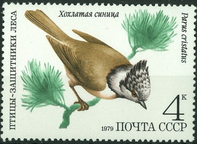 CCCP 1979 MiNr. Kleiner haubenmeise.jpg