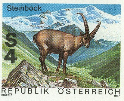 Österreich 1987 GS Steinbock-1.jpg
