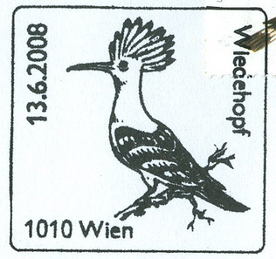 Österreich 2008 Wiedehopf -2.jpg