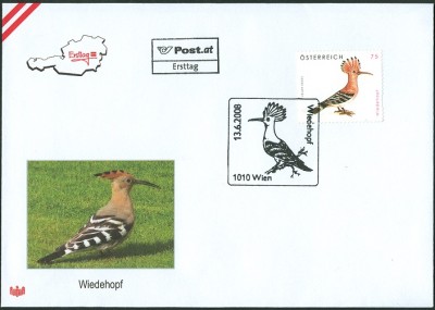Österreich 2008 Wiedehopf -3.jpg