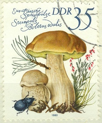 DDR 1980 MiNr. Steinpilz.jpg