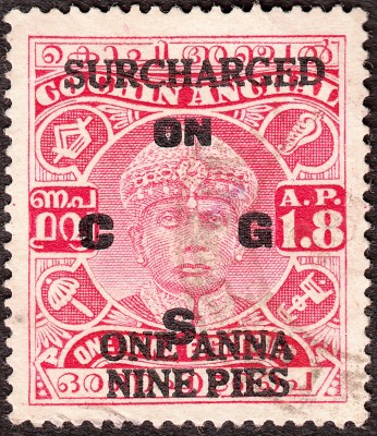 IMG.jpg