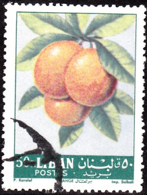 Früchte_0012.jpg