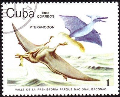 SaurierCuba_0001.jpg