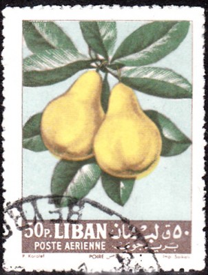 Früchte_0018.jpg