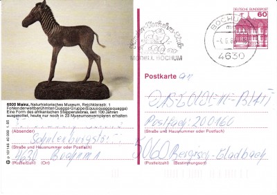 Tiere_0002.jpg