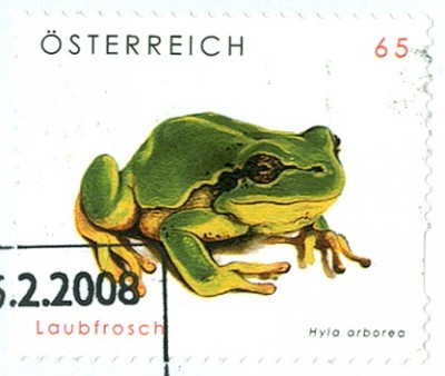 Österreich 2008 - EuropLaubFrosch - 1.jpg