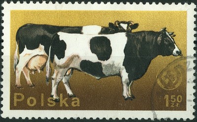 Polen 19xx MiNr. Hausrinder.jpg