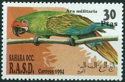 SAHARA OCC. R.A.S.D. 1994.jpg