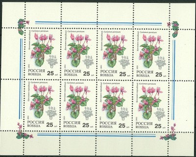 Russland 1993 Alpenveilchen Kleinbogen.jpg