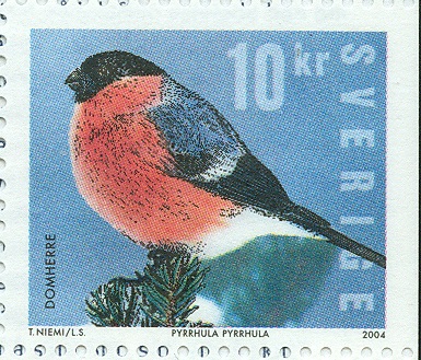 Schweden 2004 Gimpel Pyrhula pyrhula.jpg