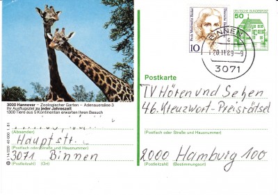 Giraffe.jpg