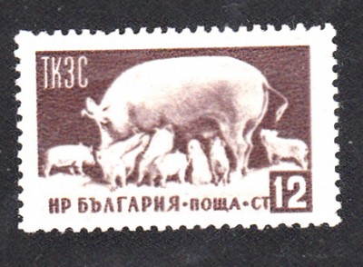 Fleisch_0003.jpg