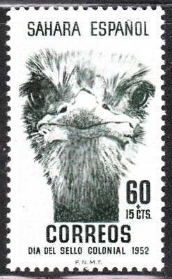 TdB_0060.jpg (133.53 KiB) 2892-mal betrachtet TdB_0060.jpg