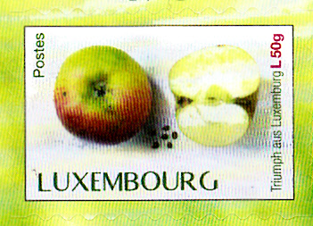 Früchte_0023.jpg