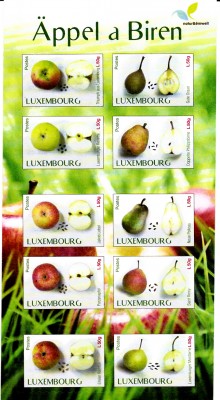 Früchte_0022.jpg