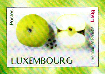 Früchte_0024.jpg