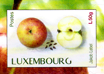 Früchte_0025.jpg