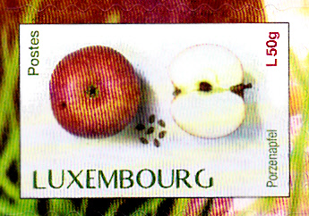 Früchte_0026.jpg