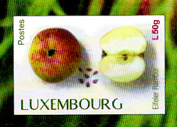 Früchte_0027.jpg