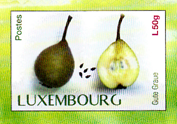 Früchte_0028.jpg
