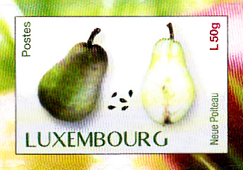 Früchte_0030.jpg