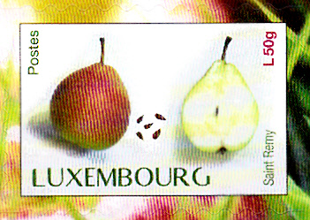 Früchte_0031.jpg