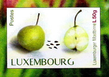 Früchte_0032.jpg