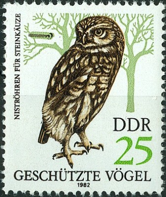 DDR 1982 - Steinkauz.jpg