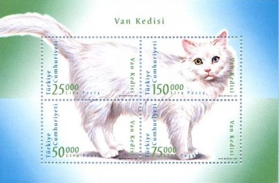 Van-Katze.jpg