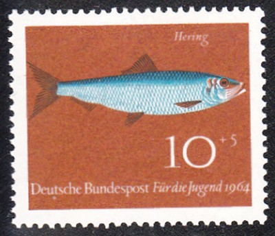 Fisch_0001.jpg