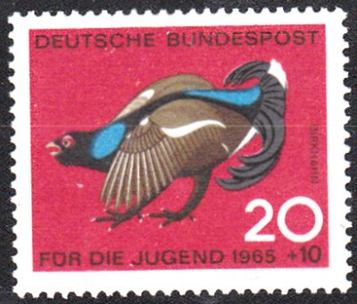 Geflügel_0007.jpg
