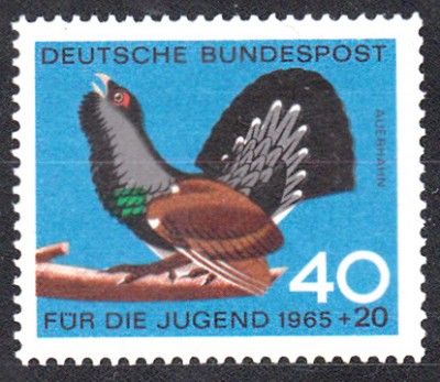 Geflügel_0008.jpg