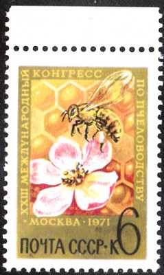 Honig.jpg