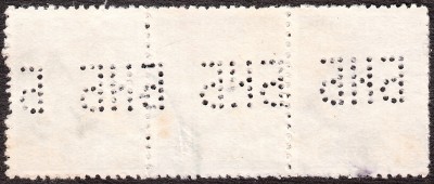 IMG.jpg