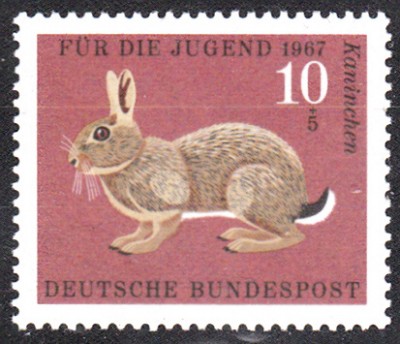 Kaninchen_0001.jpg
