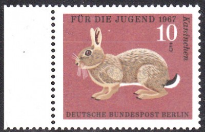 Kaninchen_0002.jpg