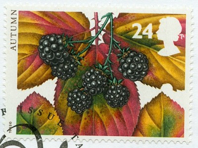 GB 1993 BromBeere.jpg