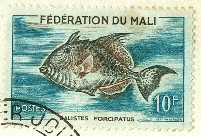 Mali 1960 Fische -2.jpg