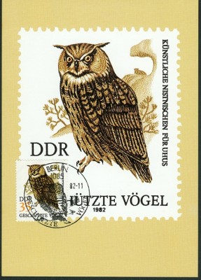 DDR 1982 MiNr. 2705 Uhu auf MaxiCard -1.jpg
