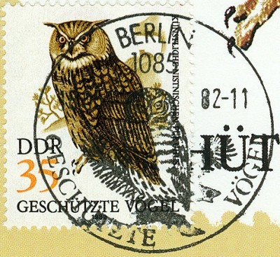 DDR 1982 MiNr. 2705 Uhu auf MaxiCard -2.jpg