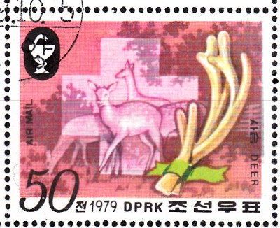 Hirsche_0006.jpg