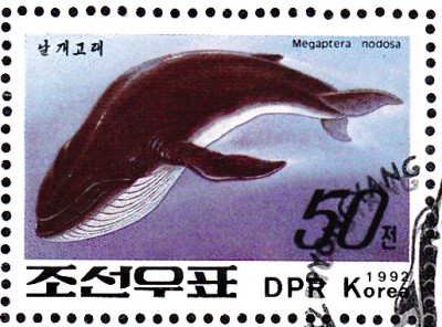 Wal_0001.jpg