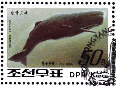 Wal_0003.jpg