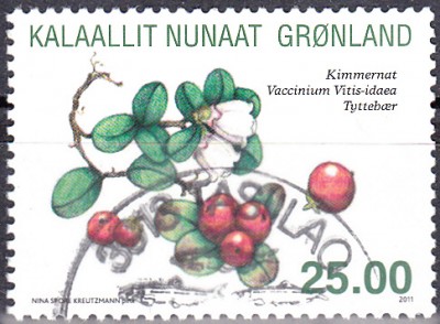 Grönland_0001.jpg