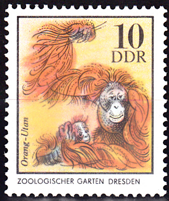 Zoo_0020.jpg