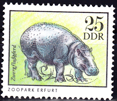 Zoo_0022.jpg