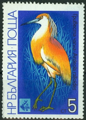 Bulgarien 1981_IntjagdEXPO 1981_ 5 Stotinki-Wert.jpg
