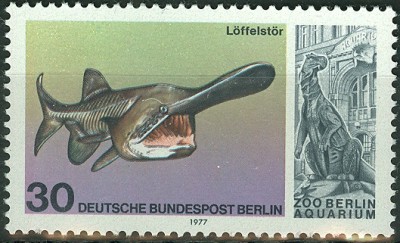 Berlin 1977, MiNr. , ZOO berlin-Aquarium 30 Pfennig.jpg